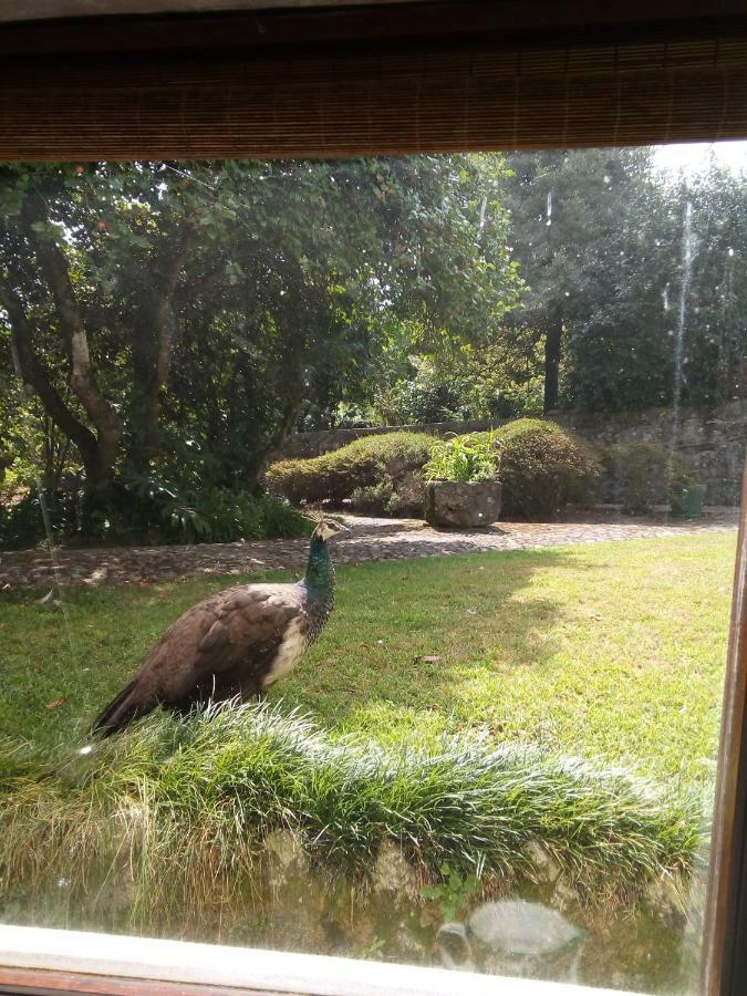 Casa Sardao Villa Trofa Luaran gambar